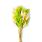material_farbe