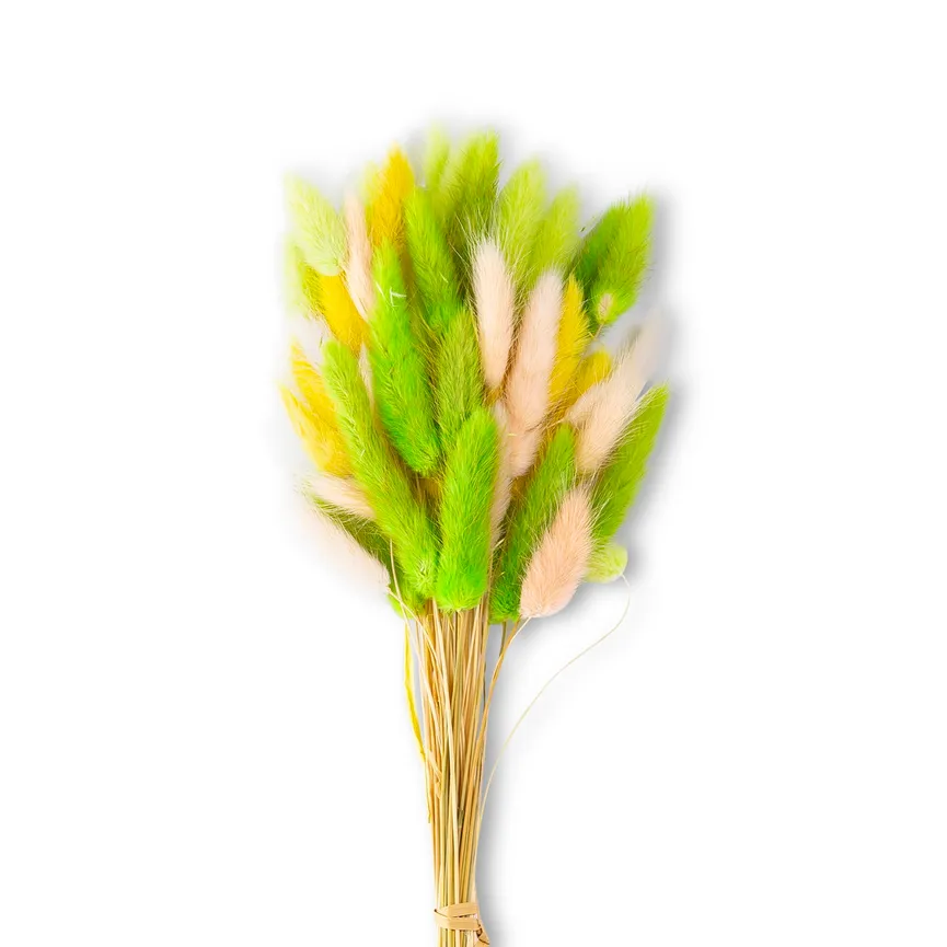 Strauß "Samtgras" material_farbe