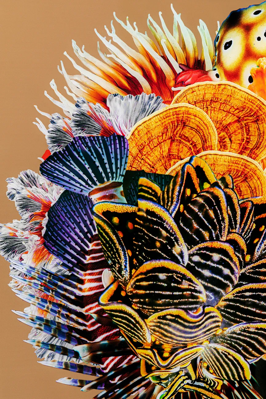 Wandbild detail