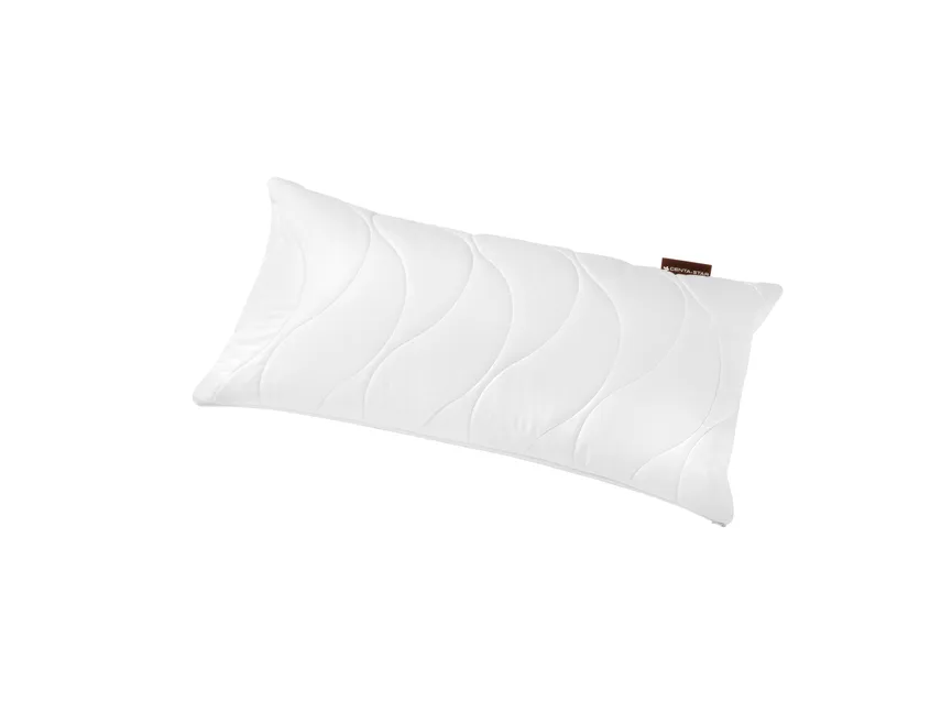 Kopfkissen Regeneration 40x80 hauptaufnahme