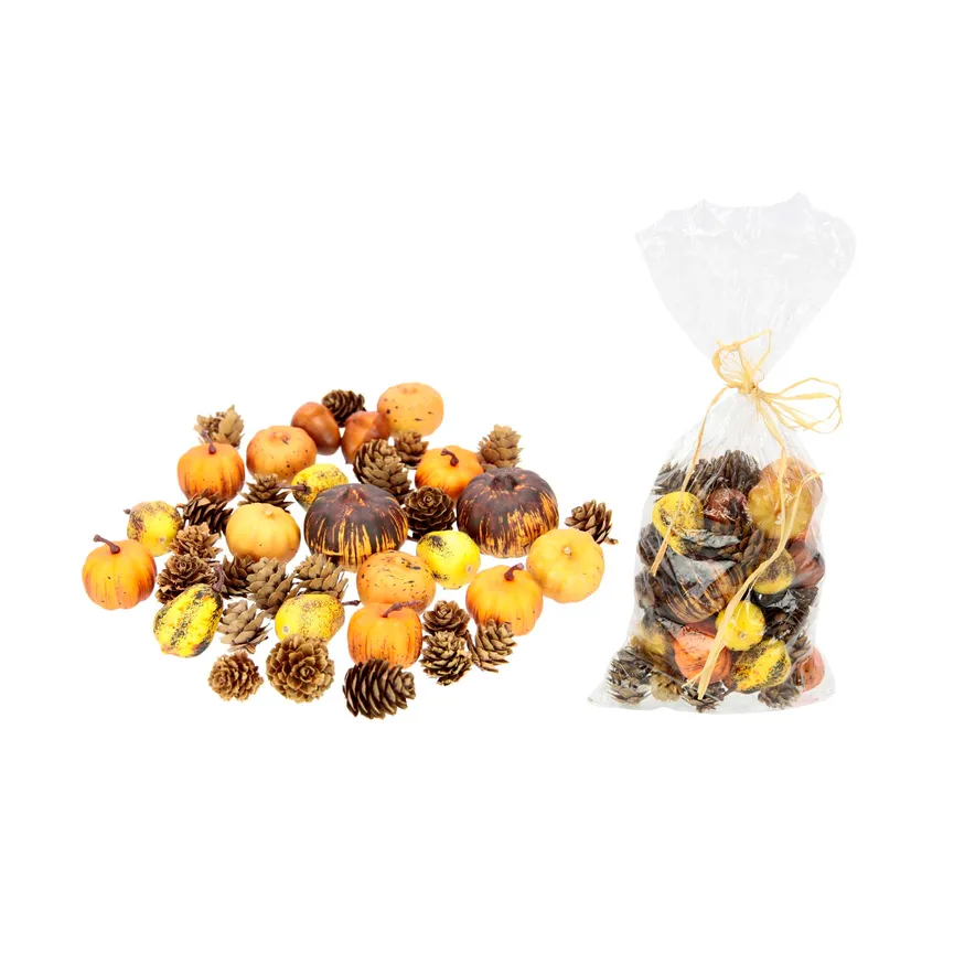 Kürbis/Zapfen orange hauptaufnahme