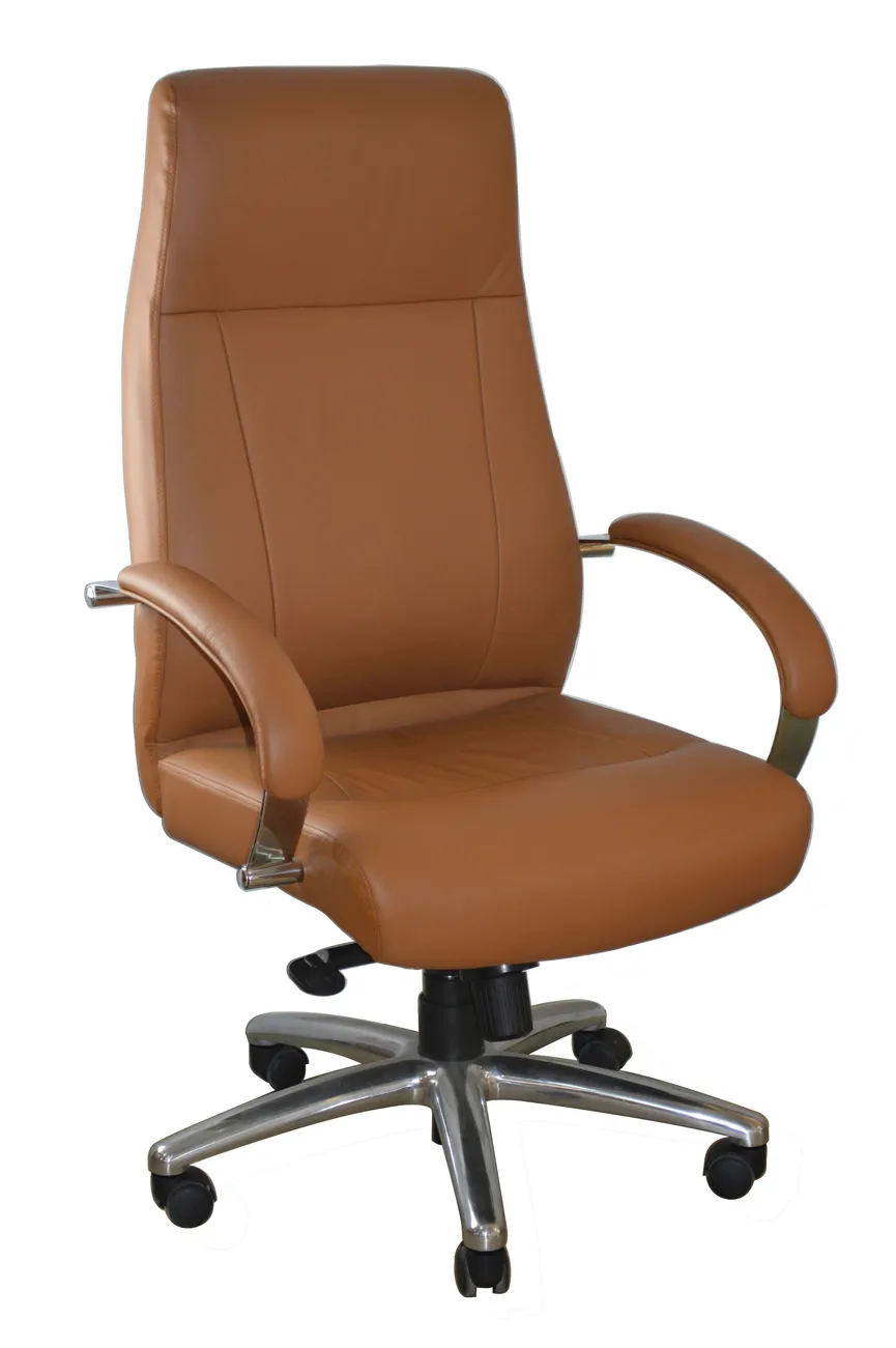 Chefsessel hauptaufnahme