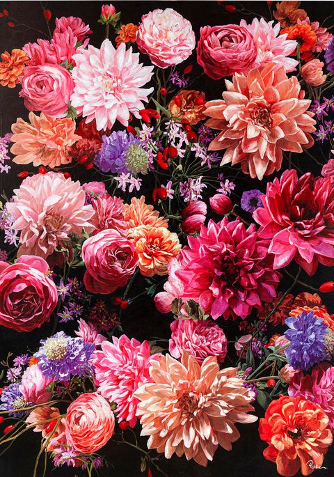 View Blumenbilder Category