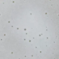 Hellgrau material_farbe