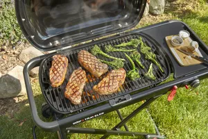 Gasgrill