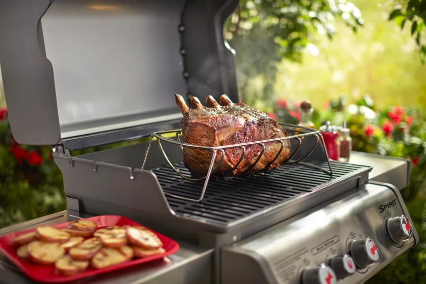 Spare Rip Halter & Bratenkorb milieu
