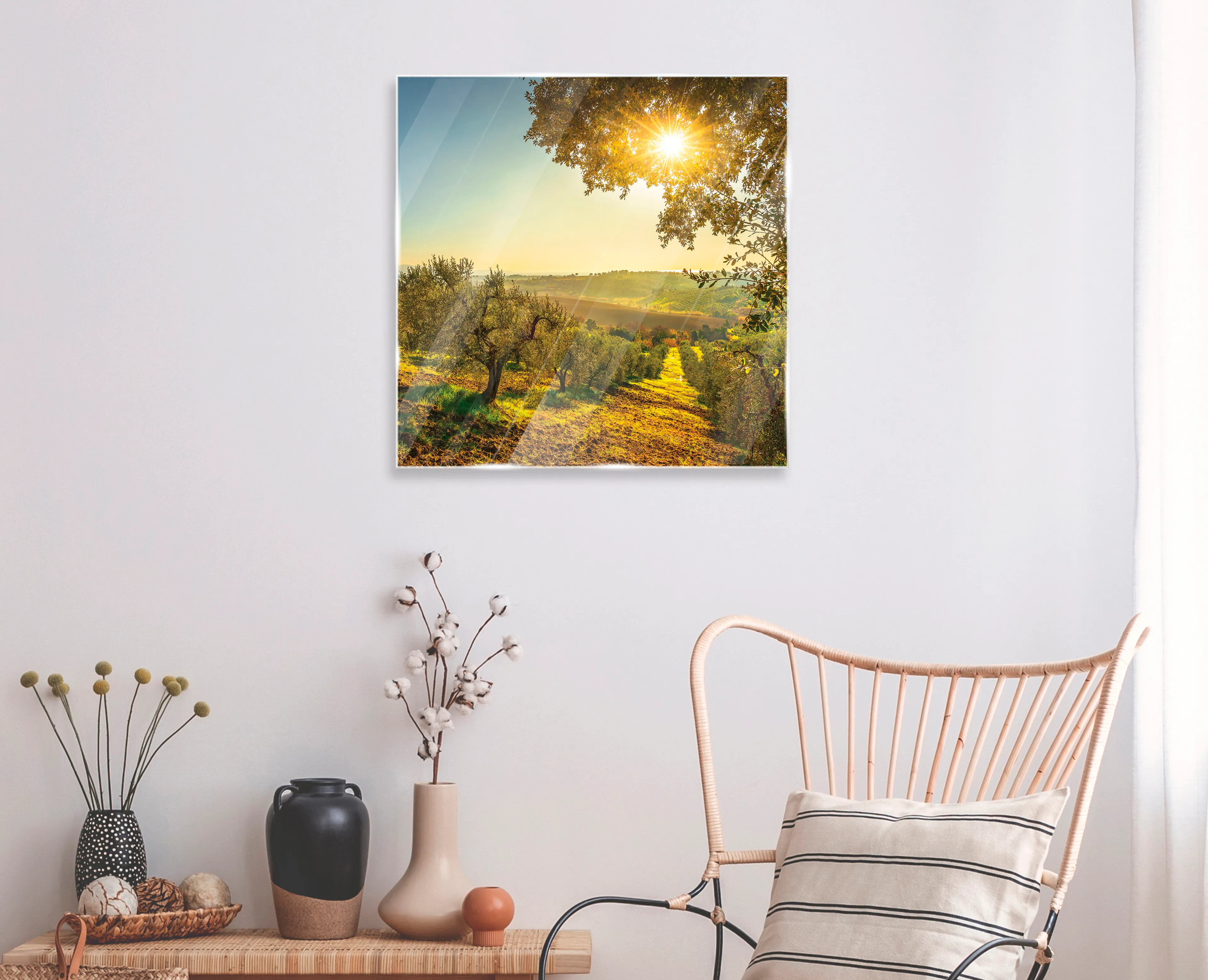 Glasbild 50 x 50 cm Maremma Vineyards