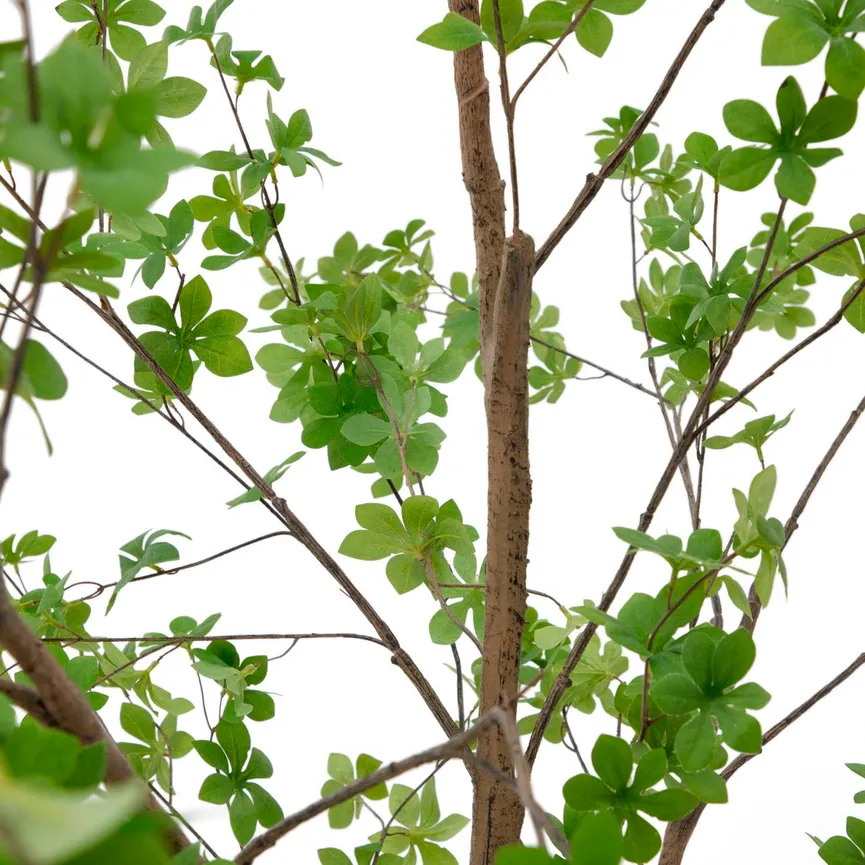 Kunstbaum Enkianthus detail