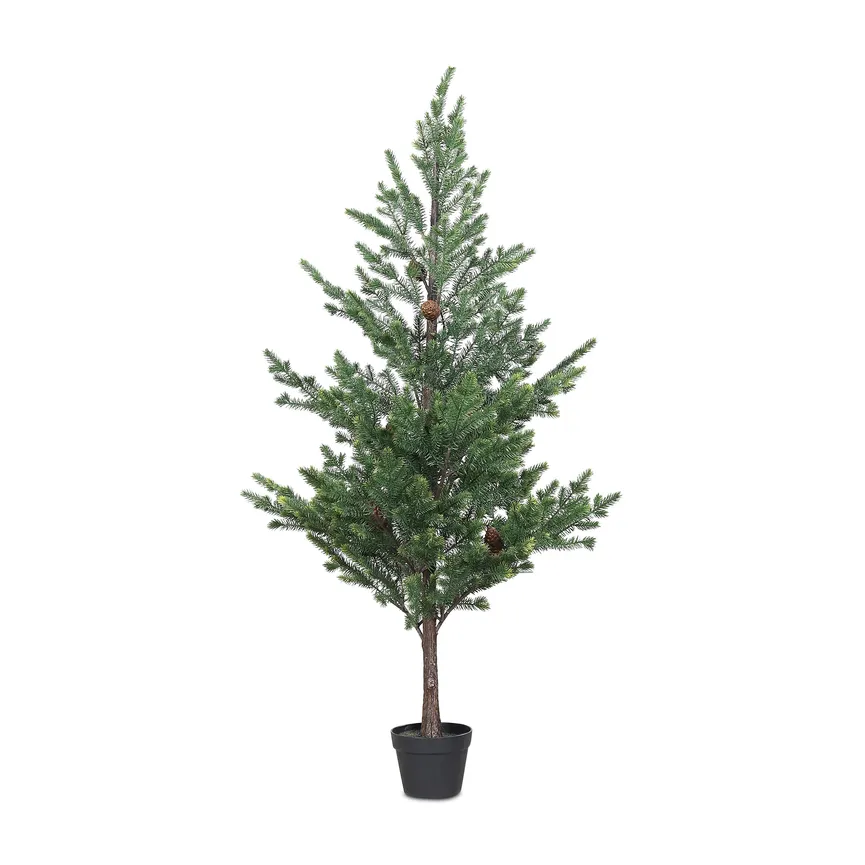 Tannenbaum M hauptaufnahme