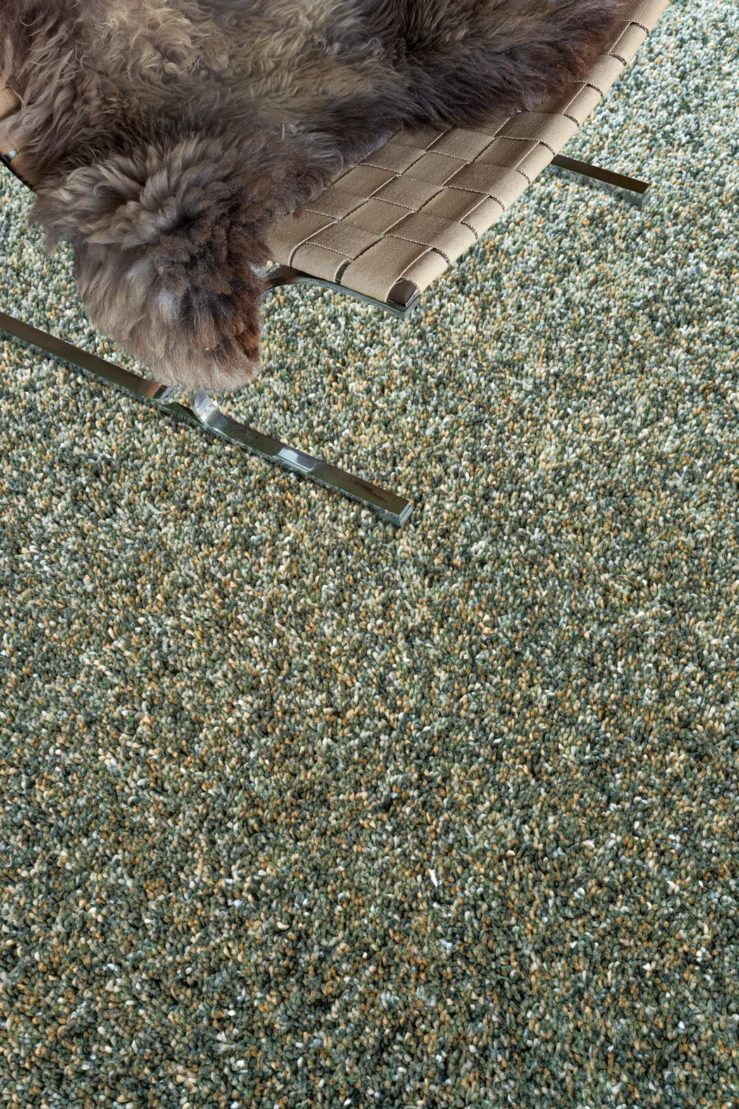 detail