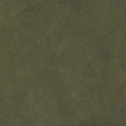 Olive material_farbe