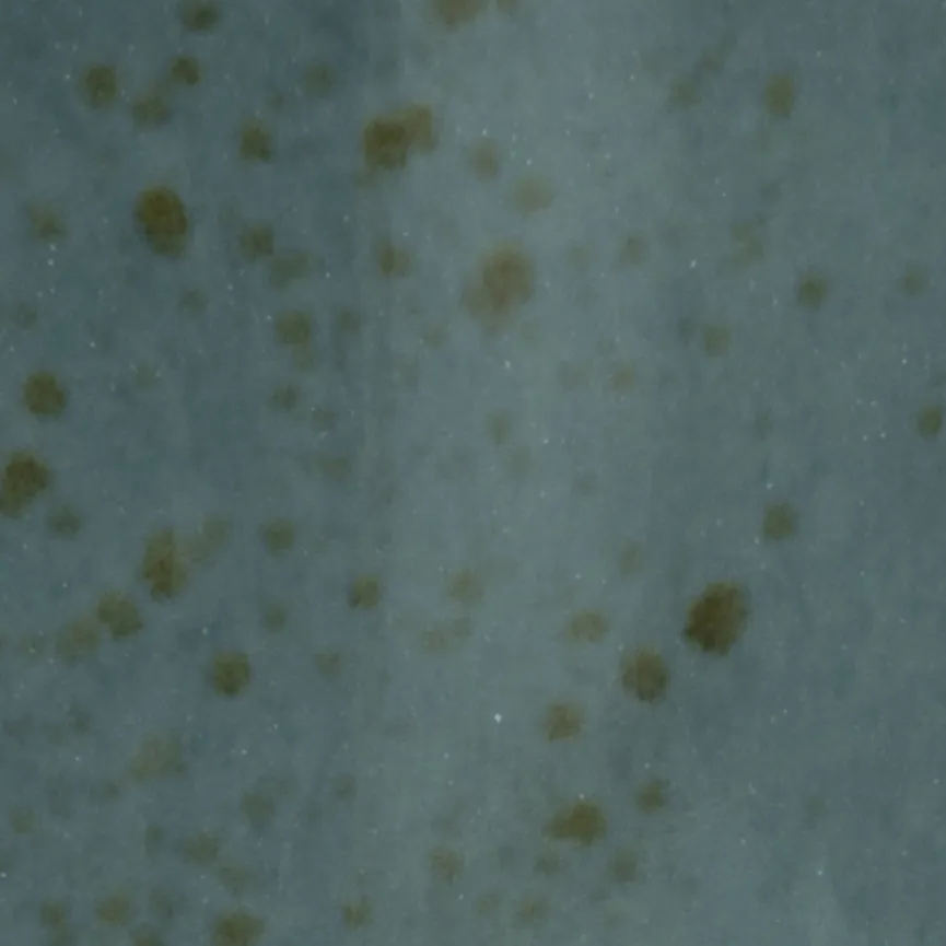 Müslischale material_farbe