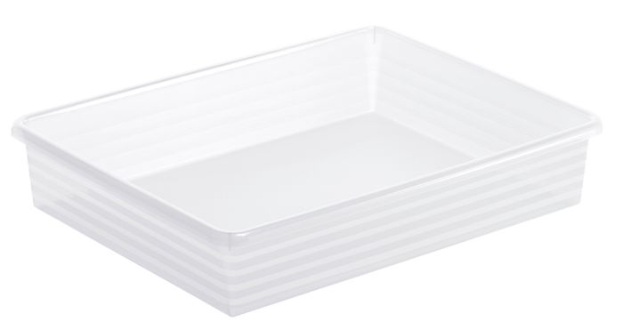 Rotho Korb Transparent Linus A4 XL (Extra Large)