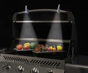 Grilllicht
