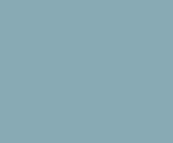 Blueberry material_farbe