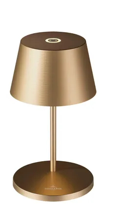 Gold gebürstet material_farbe