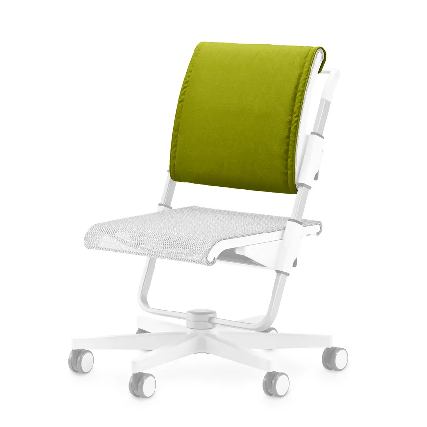 Rückenkissen hauptaufnahme