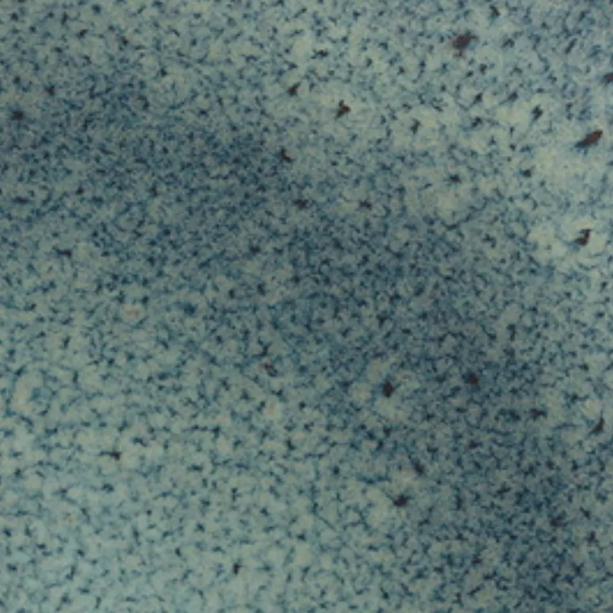 Speiseteller "Lave" gris material_farbe