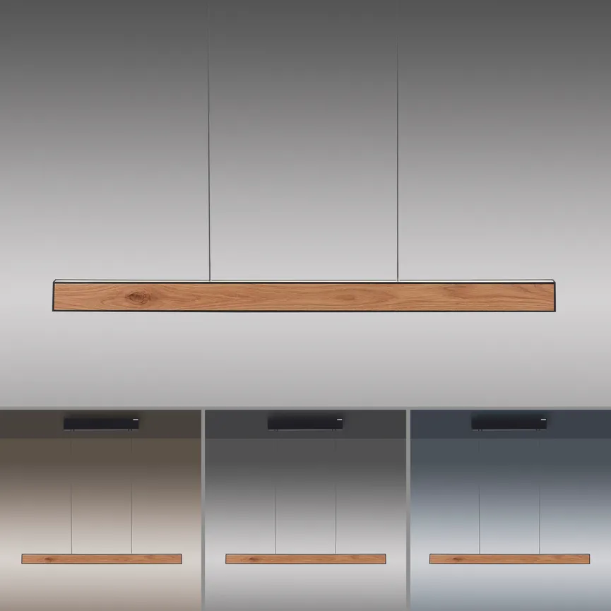 Pendelleuchte "PURE-E-Mot" detail