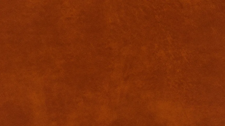 Sessel MDR F99 material_farbe