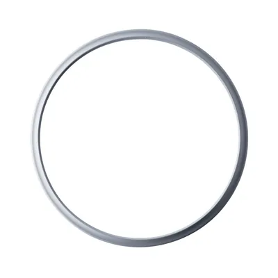 Dichtungsring