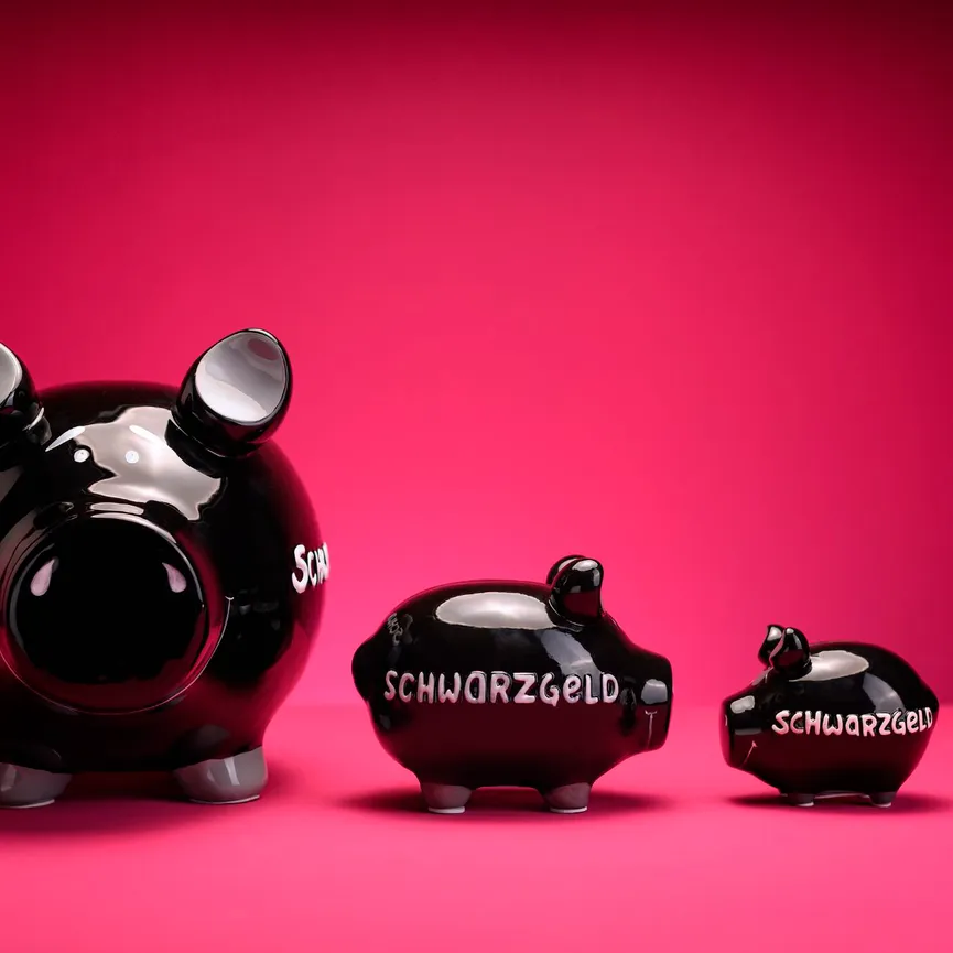 Sparschwein "Schwarzgeld" milieu