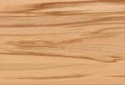 Kernbuche material_farbe