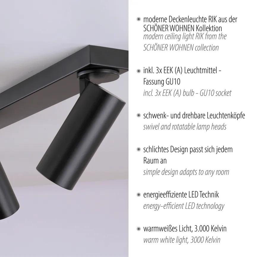 Deckenleuchte "RIK" detail