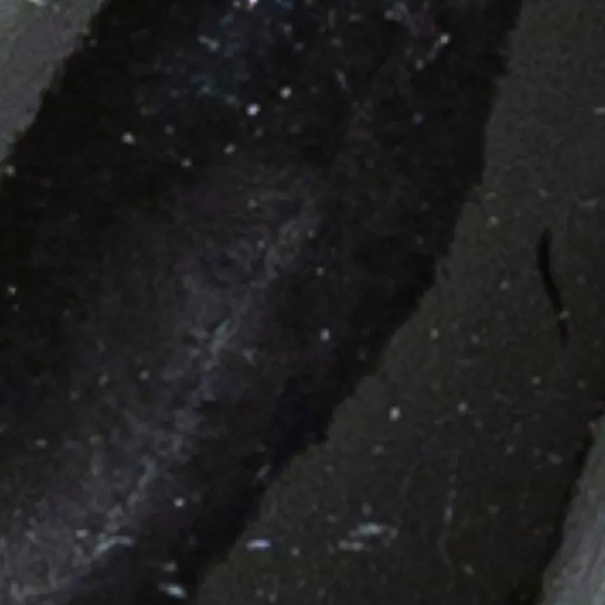 Wanddeko "Büffelschädel" material_farbe