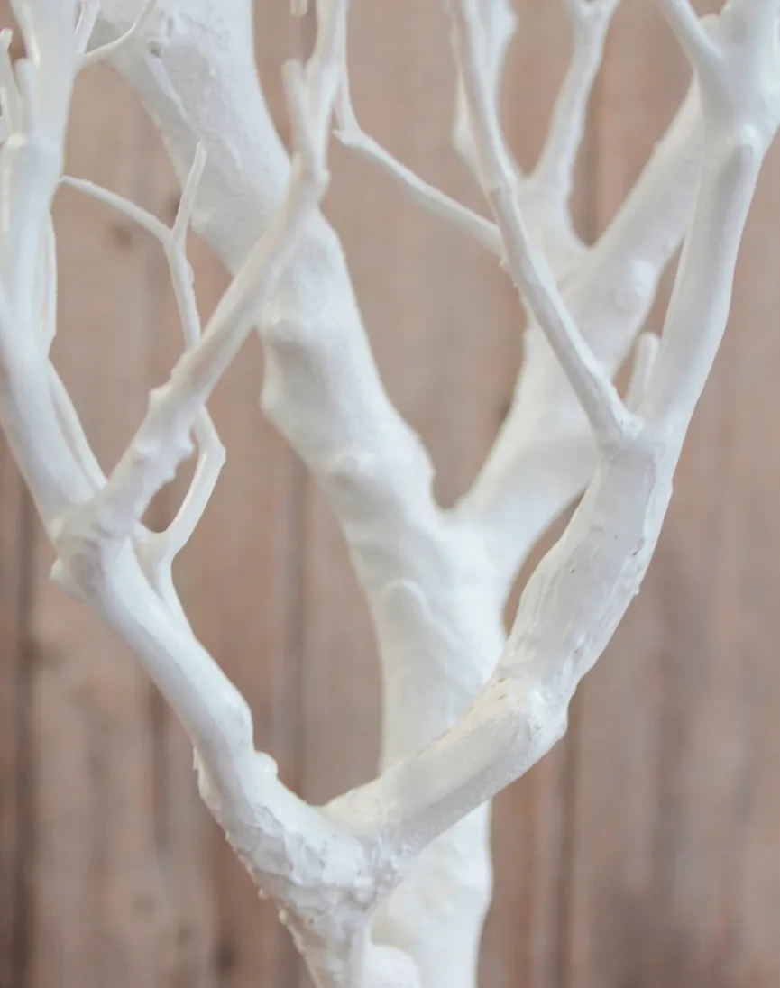 Ast L weiß detail