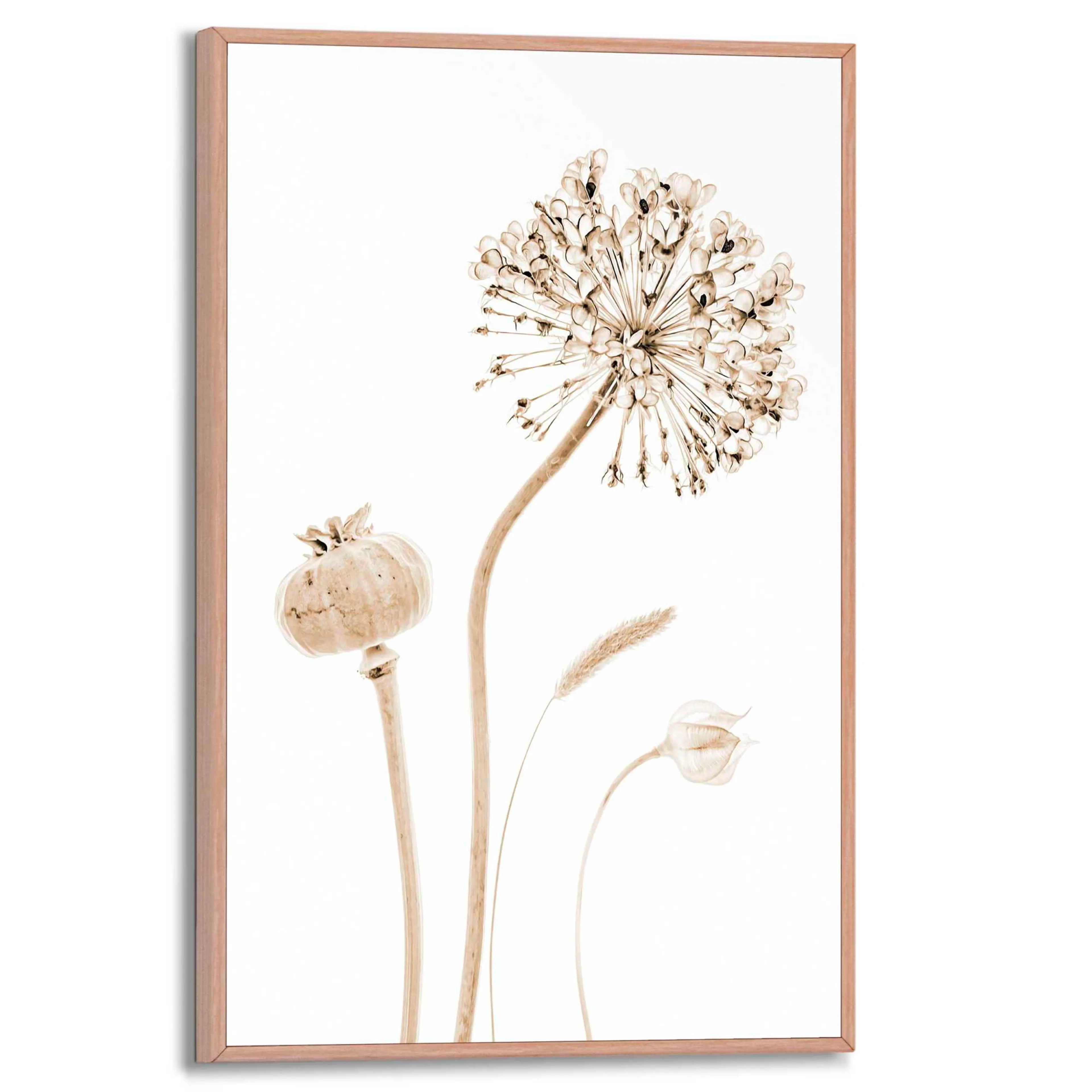 Wandbild 20 x 30 cm Flower Stills