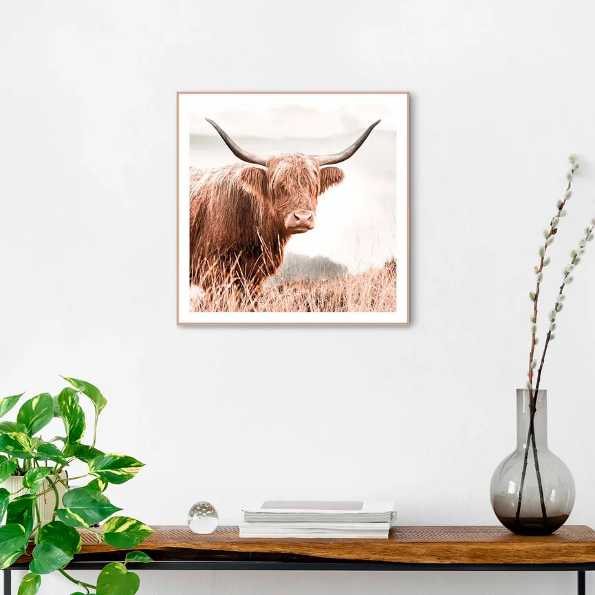 Bild gerahmt "Nature Cow" milieu