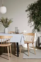 milieu