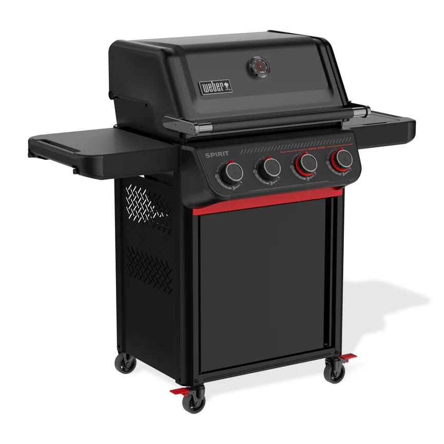 SPIRIT E425C Stealth detail