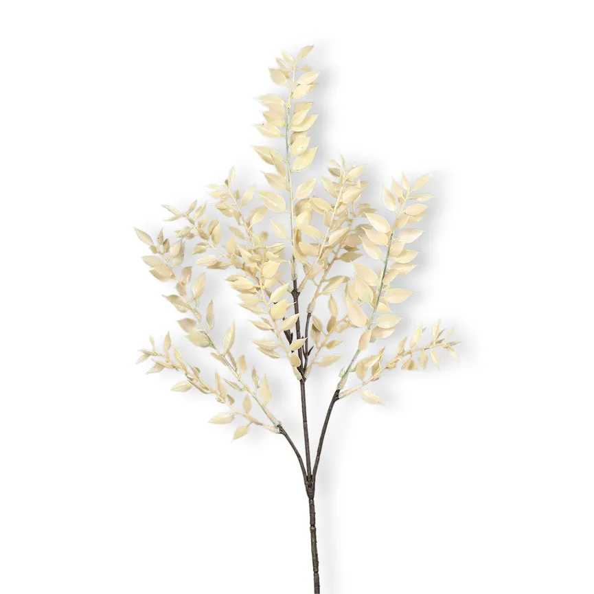 Zweig "Ruscus" creme material_farbe