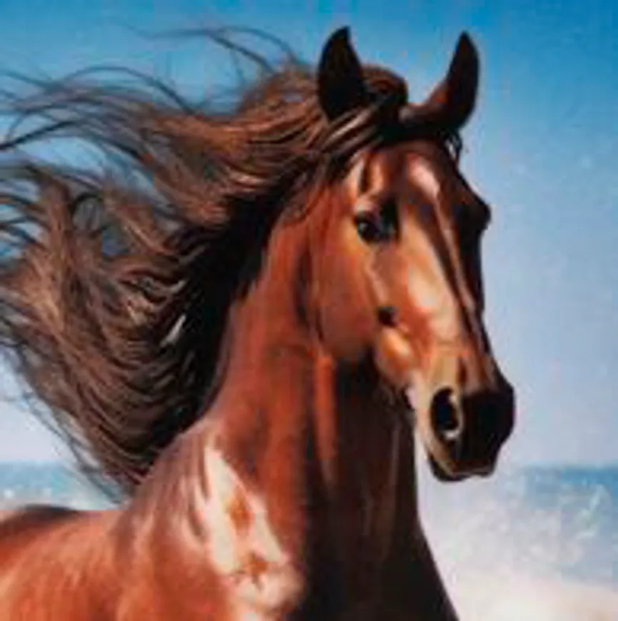 Brotdose campus - wild horse material_farbe