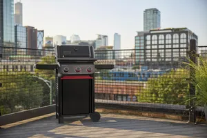 Gasgrill