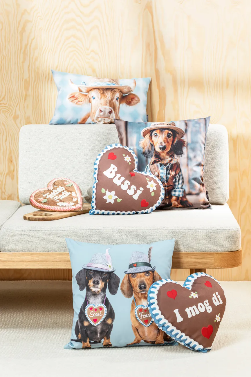 Kissen Liesel 50x30cm milieu