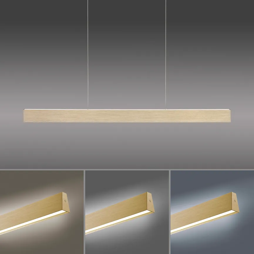 Pendelleuchte "PURE-Motion" detail