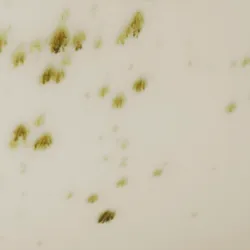 Creme material_farbe