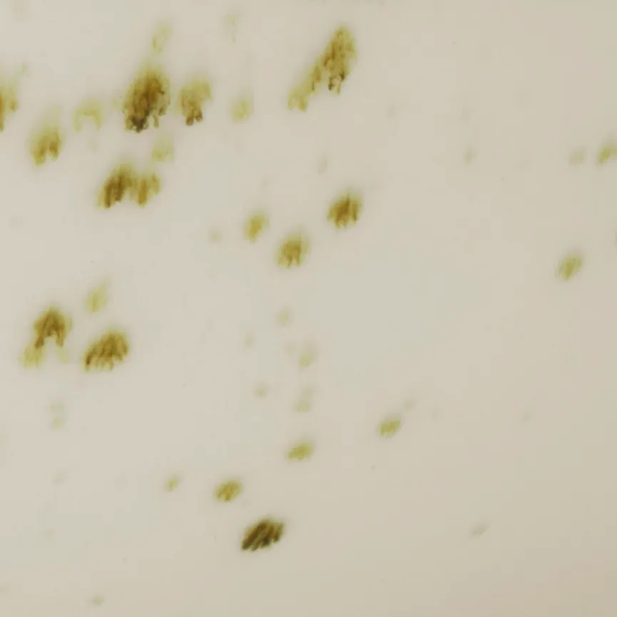 Poke Bowl "Nature Collection" material_farbe