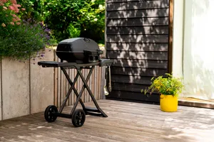 Gasgrill