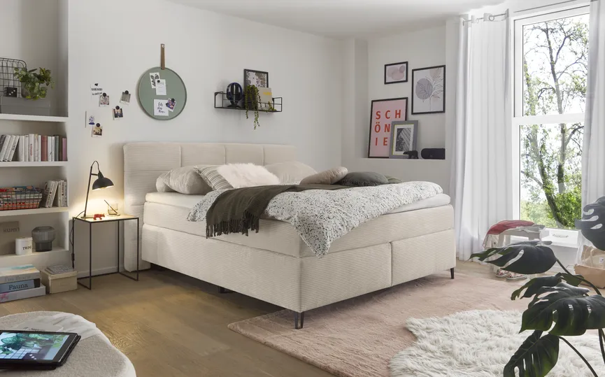 Boxspringbett 160 milieu