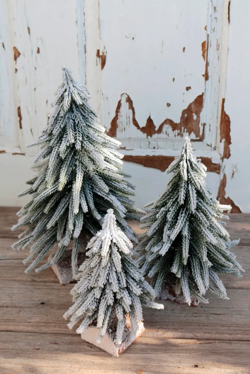 Tannebaum mit Schnee milieu