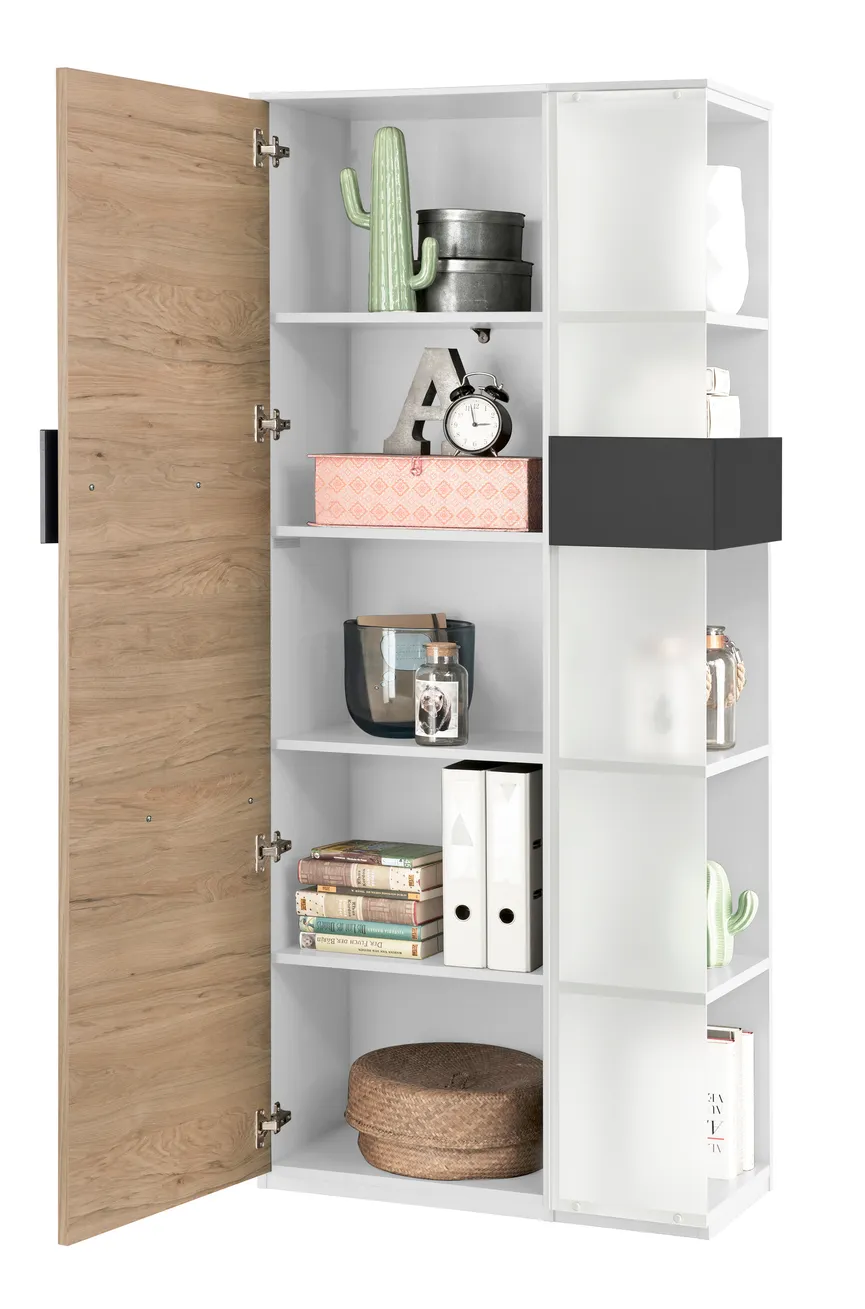 Vitrinenelement 2-geteilt detail