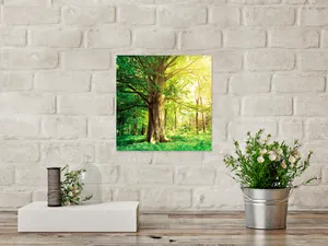 Wandbild 30 x 30 cm