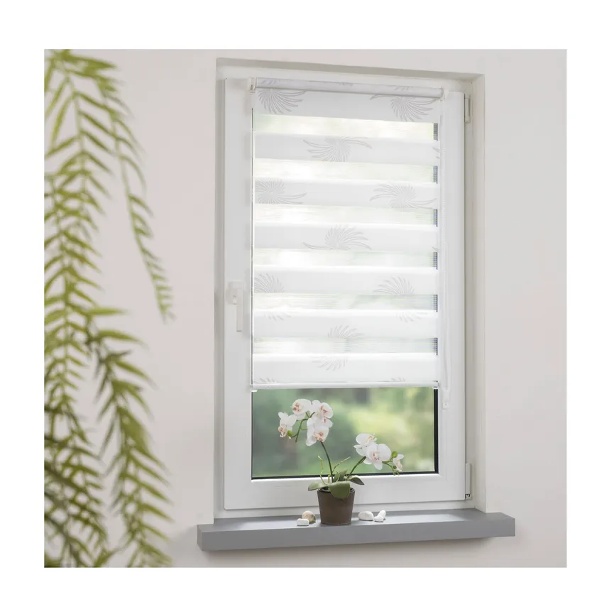 Duo Rollo Aster milieu