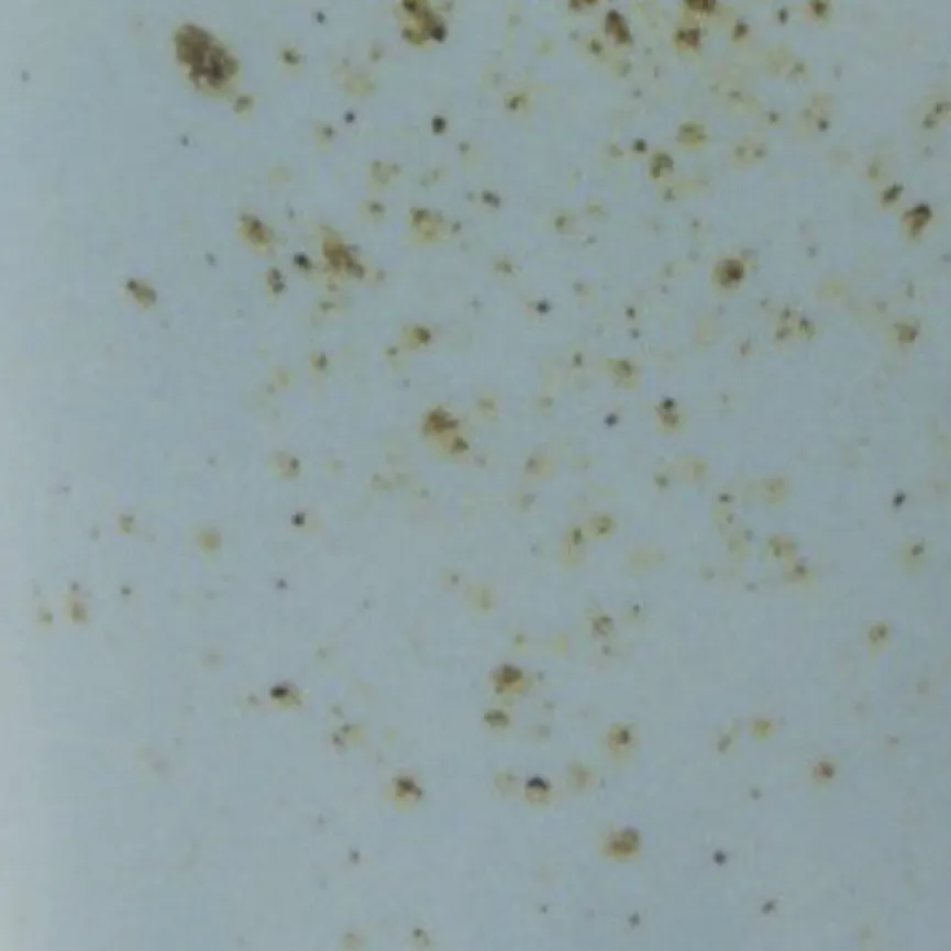 Becher "Nature Collection" material_farbe