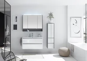 Spiegelschrank 