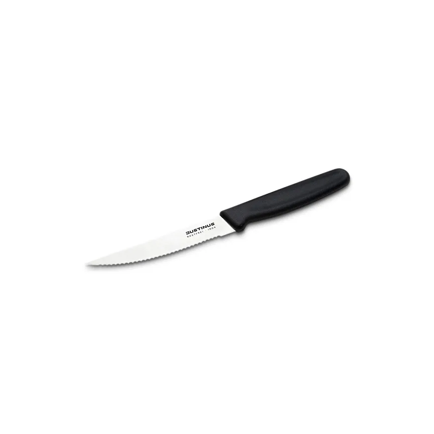 Steakmesser 11 cm, Fine Cut hauptaufnahme